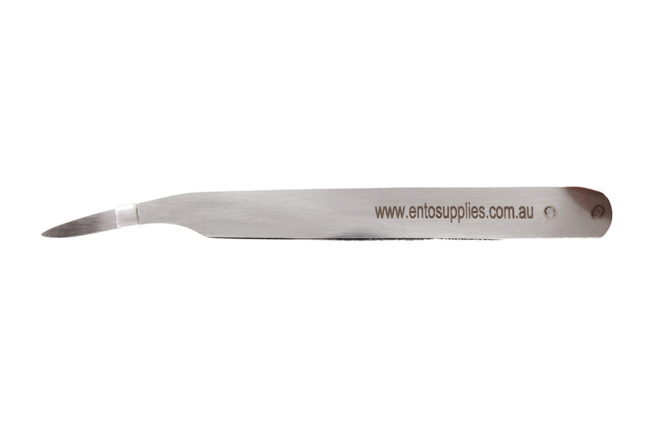 Feather Light Forceps 7