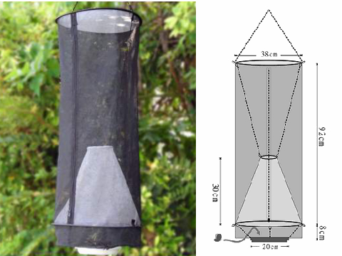 Butterfly Bait Trap - Cone Type 2