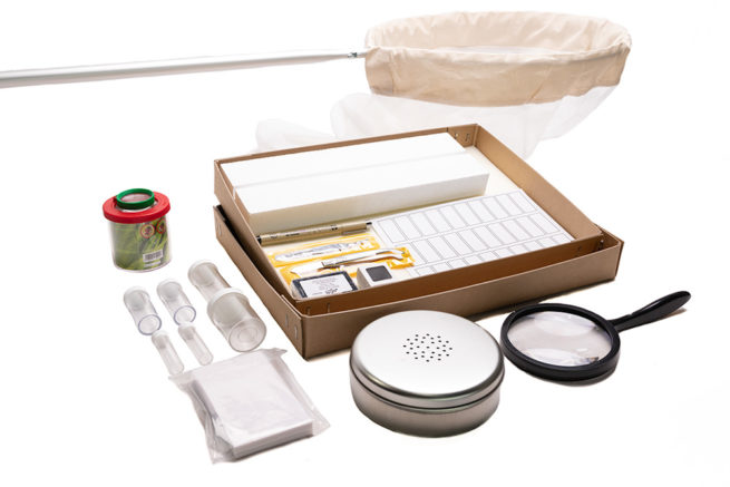 Insect Collecting & Mounting Starter Kit No.1 2