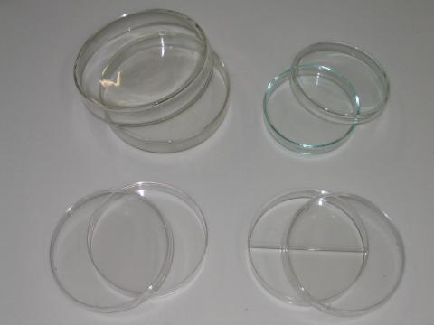 Cell Culture and Petrie Dish - Glass & Plastic 2
