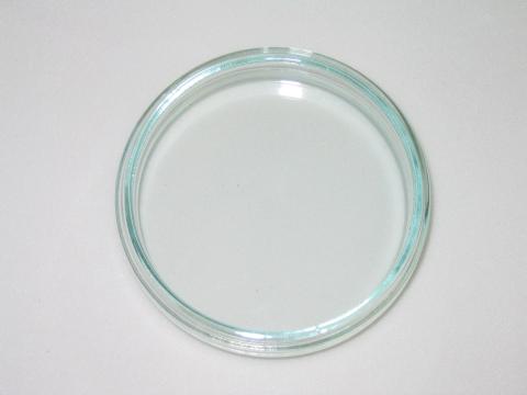 Cell Culture and Petrie Dish - Glass & Plastic 8