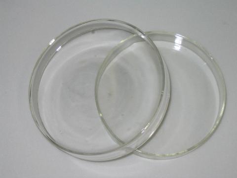 Cell Culture and Petrie Dish - Glass & Plastic 4