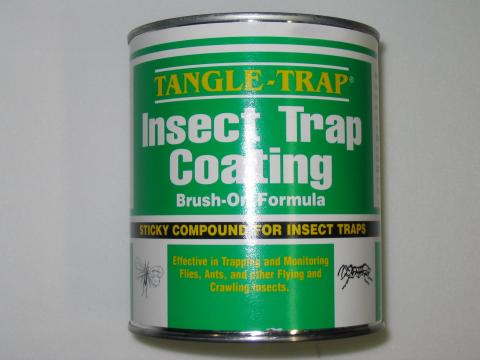 Tanglefoot - Tangle-Trap Insect Trap Coating 4
