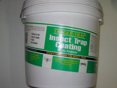 Tanglefoot - Tangle-Trap Insect Trap Coating 6