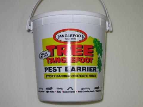 Tanglefoot - Tree Tanglefoot Pest Barrier 2