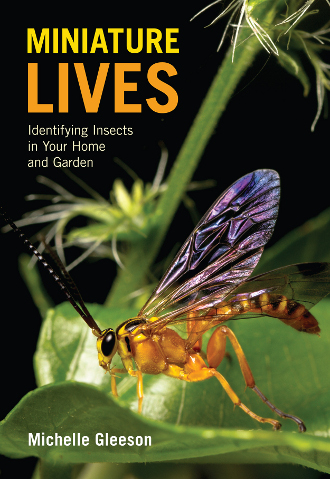 Miniature Lives: Identifying Insects in your Home and Garden 1