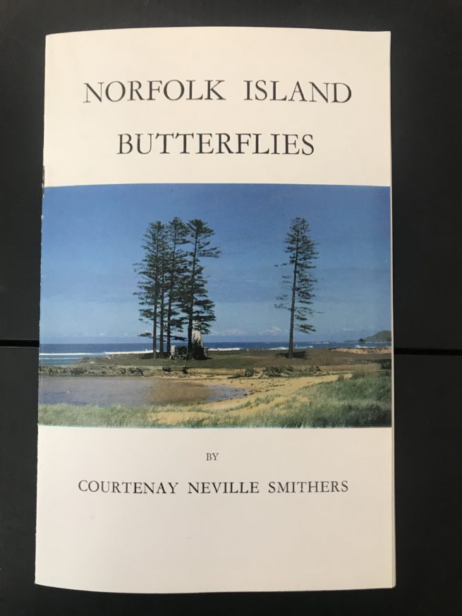 Norfolk Island Butterflies 1
