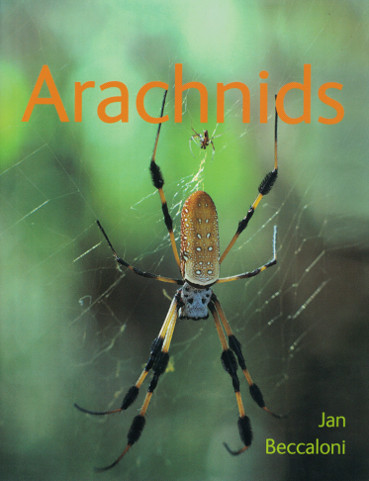 Arachnids 1