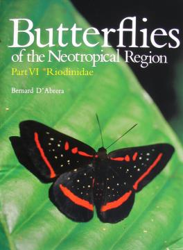 Butterflies of the Neotropical Region 1