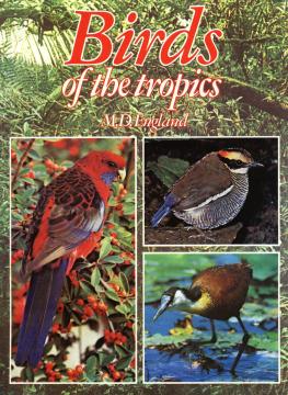 Birds of the Tropics 1
