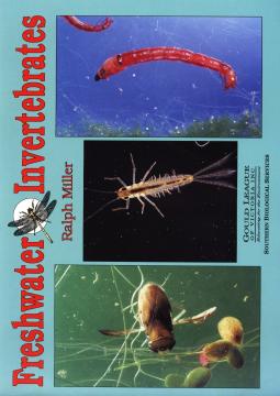 Freshwater Invertebrates 1