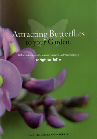 Attracting Butterflies to your Garden 1