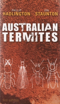 Australian Termites 1