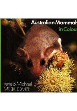 Australian Mammals in Colour 1