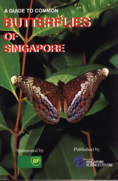 A Guide to Common Butterflies of Singapore 1
