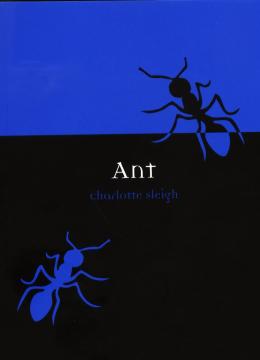 Ant - Animal Series 1