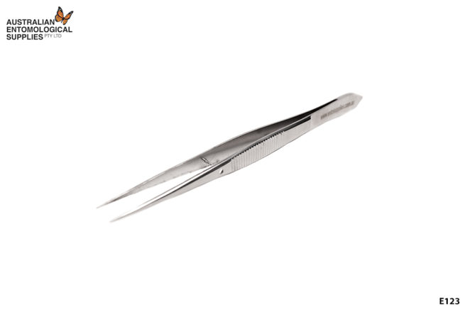 Pointed Forceps 1
