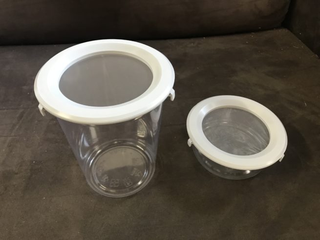 BugDorm Pint-Sized Insect Pots with Snap-On Lids 1
