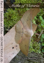 Moths of Victoria, Peter Marriott 3