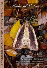 Moths of Victoria, Peter Marriott 4