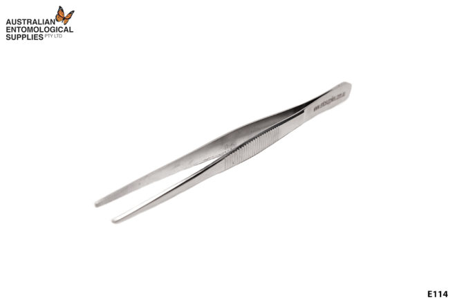 Round Nosed Forceps 1