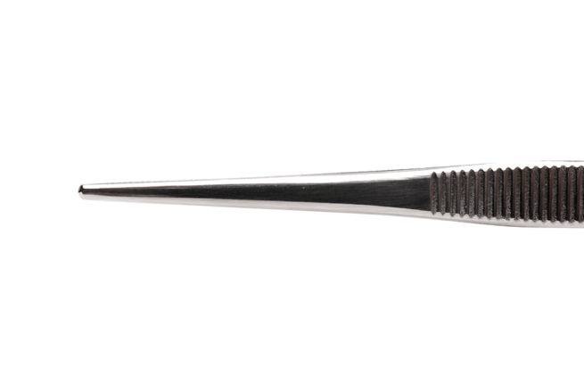 Round Nosed Forceps 4