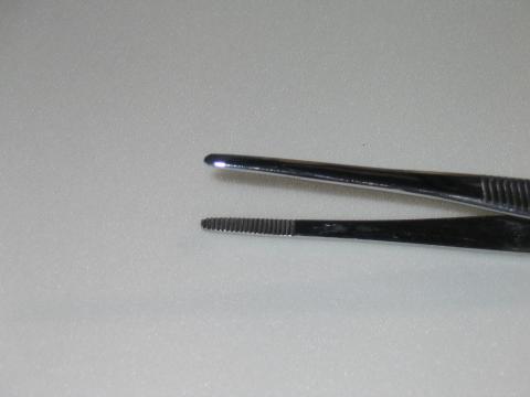 Round Nosed Forceps 2