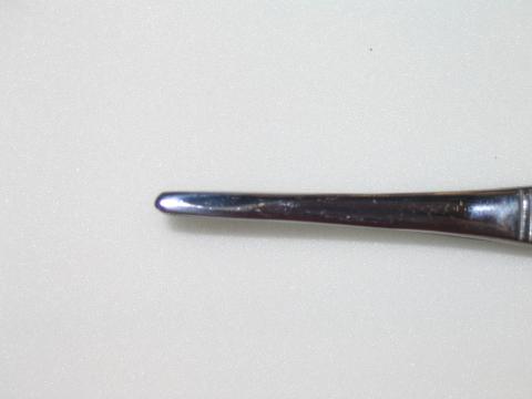 Round Nosed Forceps 4