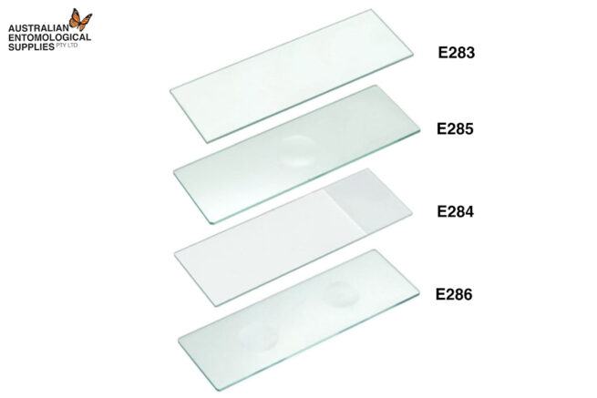Microscope Slides