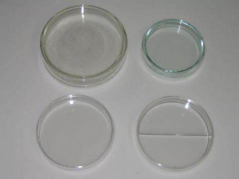 Cell Culture and Petrie Dish - Glass & Plastic 1