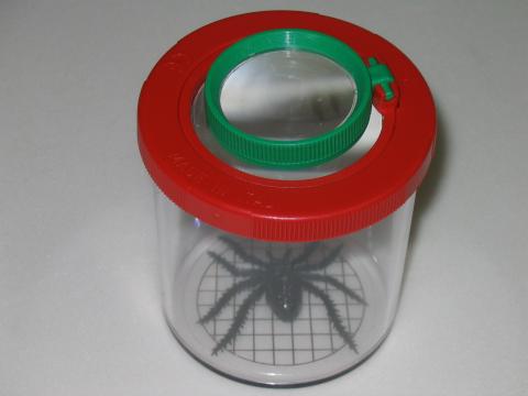 Insect Investigator's Kit #1 3