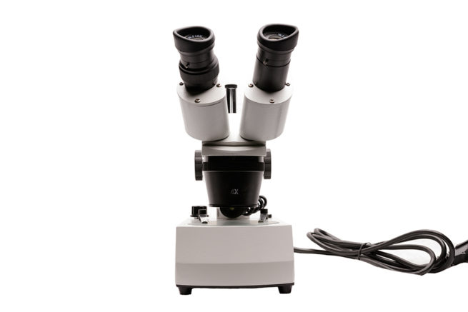 Microscope - Stereo Microscope 2