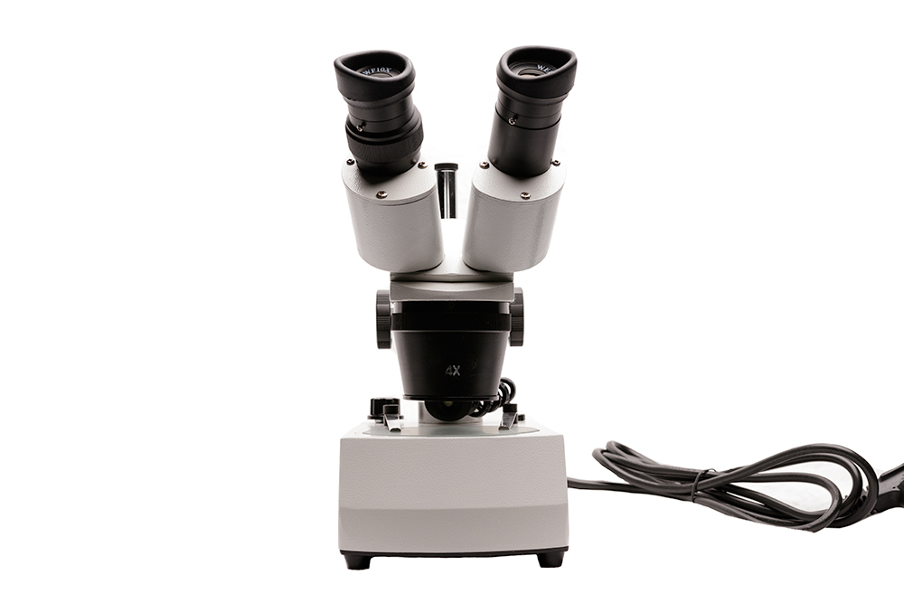 Microscope Stereo Microscope Australian Entomological Supplies
