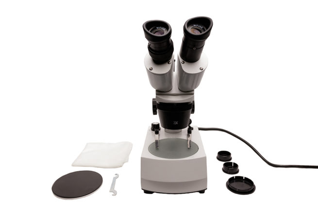 Microscope - Stereo Microscope 4