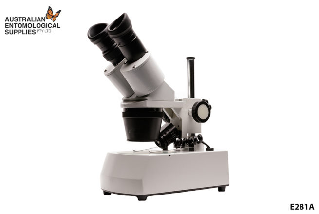 Microscope - Stereo Microscope 1