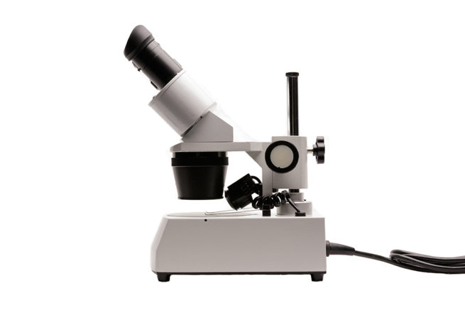 Microscope - Stereo Microscope 5