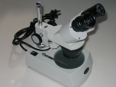 Microscope - Stereo Microscope 1