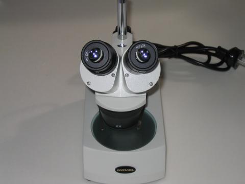 Microscope - Stereo Microscope 3
