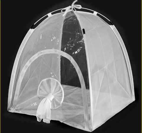 BugDorm Insect Rearing Tents 1