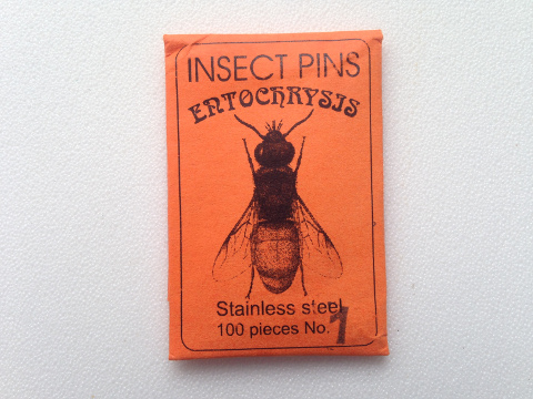 Insect Pins - Entochrysis (Stainless Steel/Black Enamaled Steel with Nylon head) 1