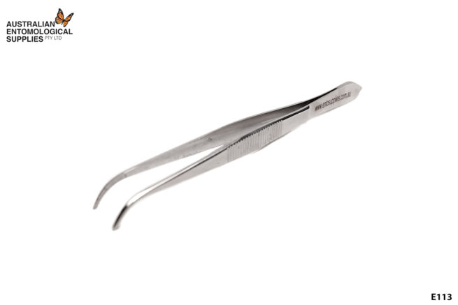 Perry Curved Forceps 1