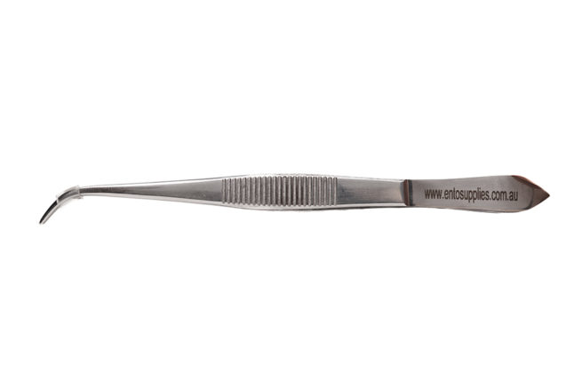 Perry Curved Forceps 3