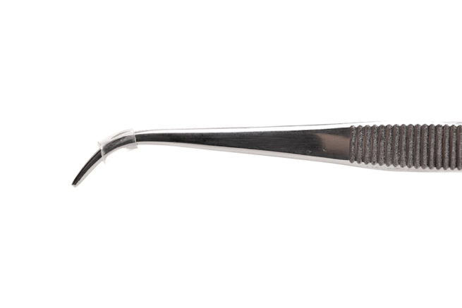 Perry Curved Forceps 4