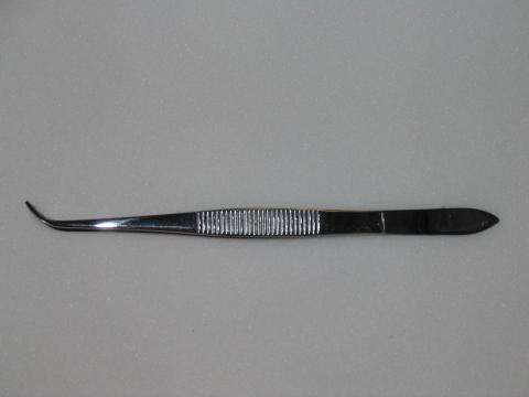 Perry Curved Forceps 5