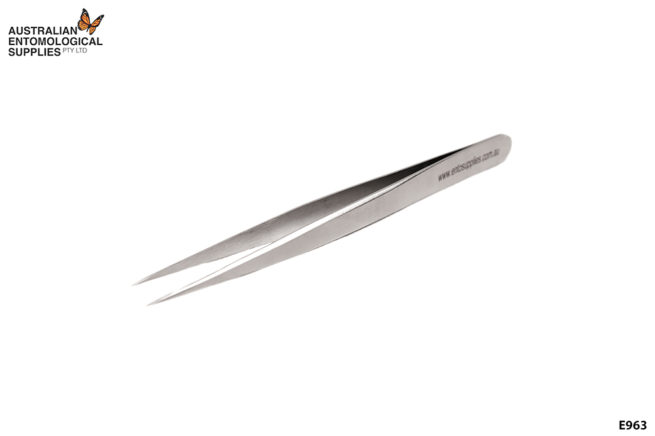 Fine Pointed Forceps 1