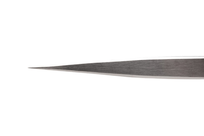 Fine Pointed Forceps 4