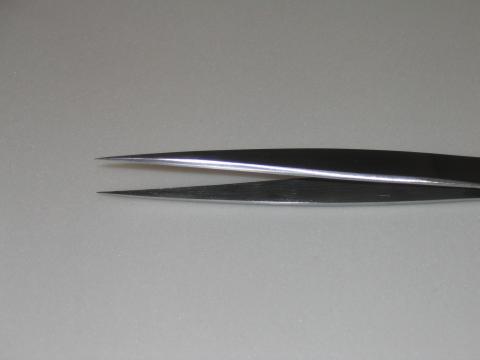 Fine Pointed Forceps 2