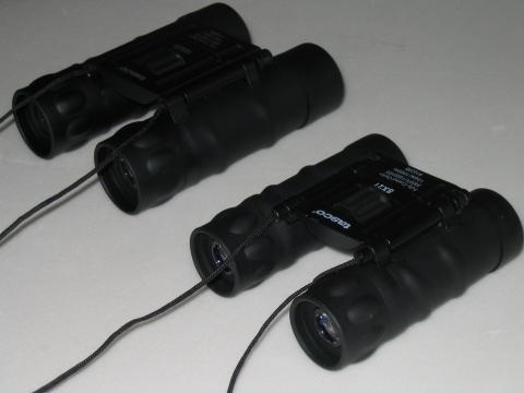 Binoculars - Tasco 10x25 4