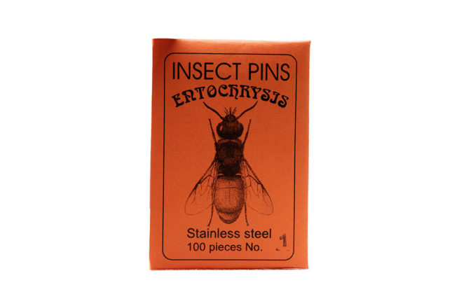 Insect Pins - Entochrysis (Stainless Steel/Black Enamaled Steel with Nylon head) 2
