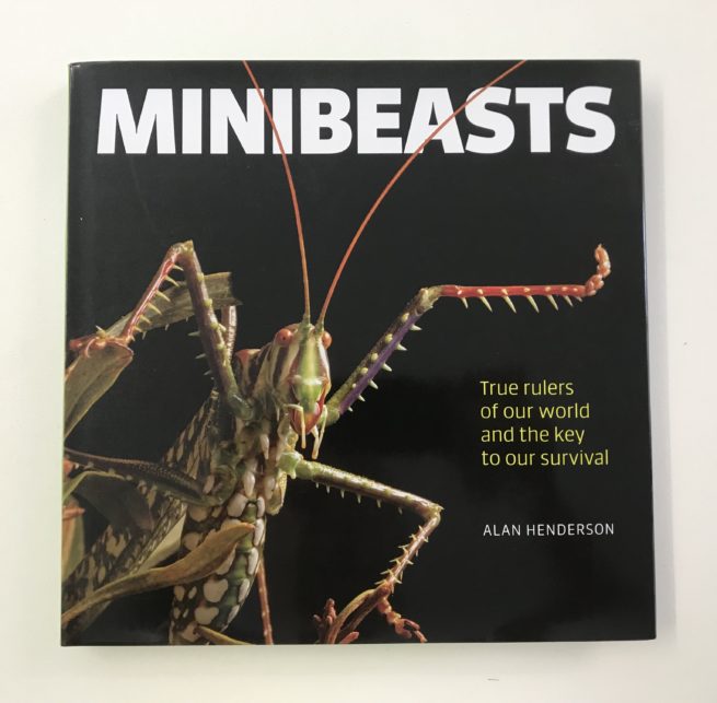 Minibeasts, by Alan Henderson 1
